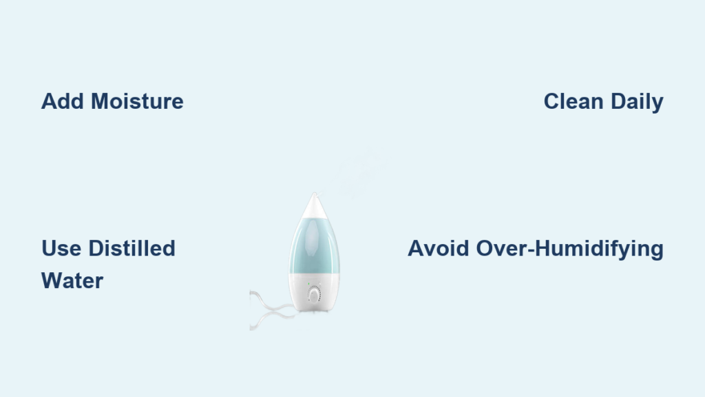 What Is a Humidifier and How Does It Work?